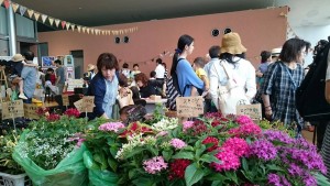 13512091_1027224200688979_4841875654713054946_n