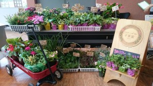 13516344_1027224064022326_8844976180038275960_n