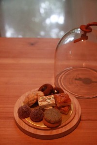 13516634_1029477293797003_1663132033692824441_n