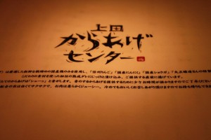 13517577_1029478790463520_8181669054225702632_o