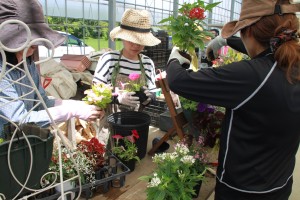 13517804_1028136190597780_504786392_o