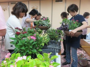 13518091_1025114230899976_1092302242_o