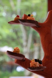 13521854_1029471023797630_5766314992341290583_n