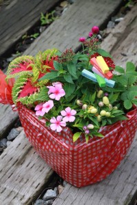 13522502_1025728910838508_733694785_n