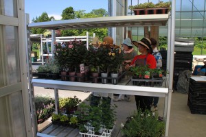 13524236_1028136183931114_242422074_o