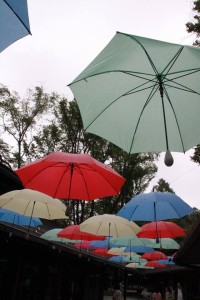 13524511_1029478687130197_1635998062222031771_n