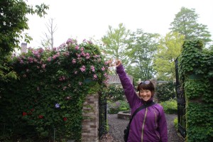 13528073_1029478787130187_1973072975270755950_o