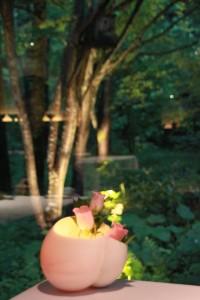 13528790_1029471733797559_4310710923664155289_n