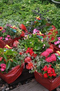 13530427_1025728917505174_733487266_n