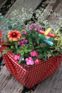 13530500_1025728897505176_834841236_n