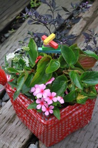 13530818_1025728907505175_1110059551_n