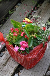 13535770_1025728920838507_949378618_n