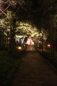 13557878_1029475550463844_2170731648859293288_n