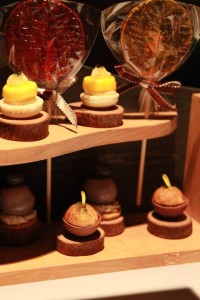 13567397_1029475477130518_3336918896434336421_n