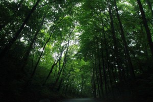 13568956_1029463687131697_8707516019913236900_o