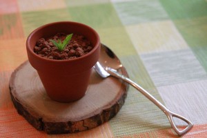 13575771_1029468137131252_2265852732334152437_o