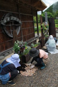 13533260_1032308400180559_8692860696282407015_n