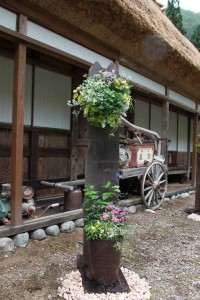 13557917_1032309563513776_2117851660386037868_n