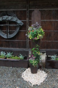 13566962_1032309266847139_5480475693065103288_n