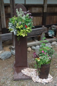 13567445_1032309560180443_8007543951028983777_n