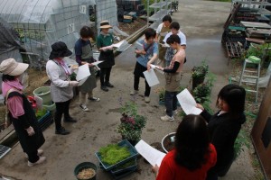 13569055_1032307126847353_4707473876503315802_o