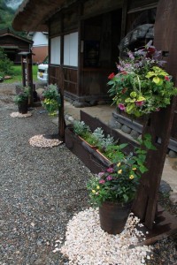 13590416_1032309016847164_8811819097597889652_n