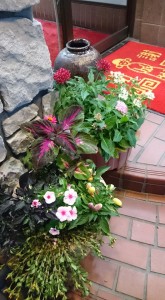 13592394_1032993933445339_279212468993975500_n