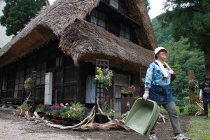 13615434_1037943109617088_8479725633119967986_n