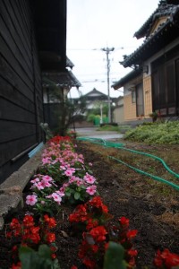 13617992_1035168309894568_1069814057_n