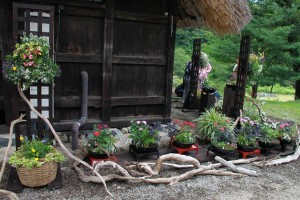 13620165_1037942559617143_7880671688447662394_n