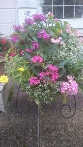 13625063_1035464746531591_271697304_n