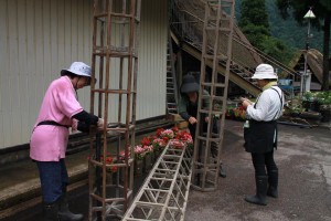 13626568_1037937456284320_6957892053939162631_n