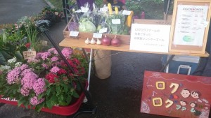 13626951_1035802066497859_7871168056041247678_n