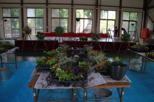 13631622_1037942179617181_1431220810421688205_n