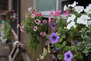 13633390_1035168523227880_1578247433_o