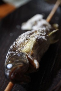 13641101_1039482159463183_5978731084710925980_o