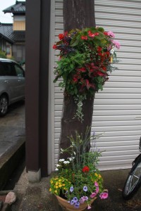 13643925_1035168529894546_1781358518_n