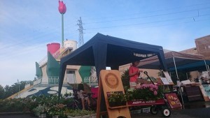 13645243_1035802043164528_5004130180756700833_n