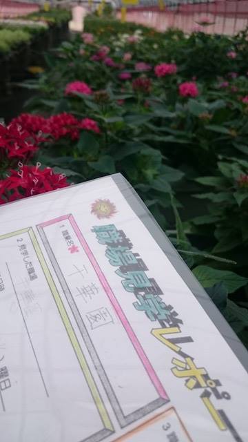 職業見学レポート