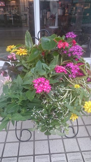 ハンギング植え替えのご依頼☆