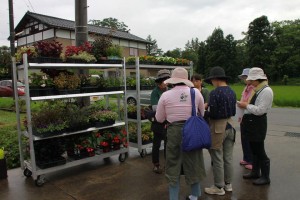 13654273_1037936922951040_7015323384005309580_n