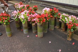 13654414_1037937452950987_4124777508974922158_n