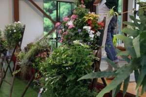 13667807_1039443892800343_8030400296397596048_o