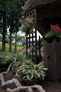 13667992_1037944429616956_7666847861968369576_o