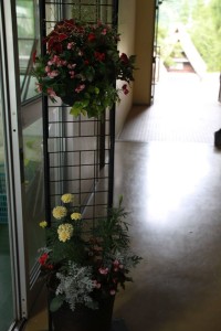 13668730_1037941436283922_5360160803316403561_o