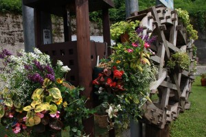 13669131_1037939842950748_57520742219503089_n