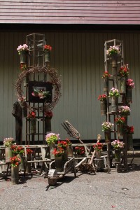 13669299_1037937459617653_3228667905716861434_o