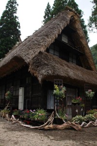 13679916_1037942776283788_299900898256890086_o