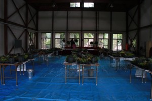 13680567_1037940972950635_1349239152703073476_n