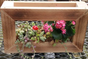 13681877_1049501848461214_305908286_o